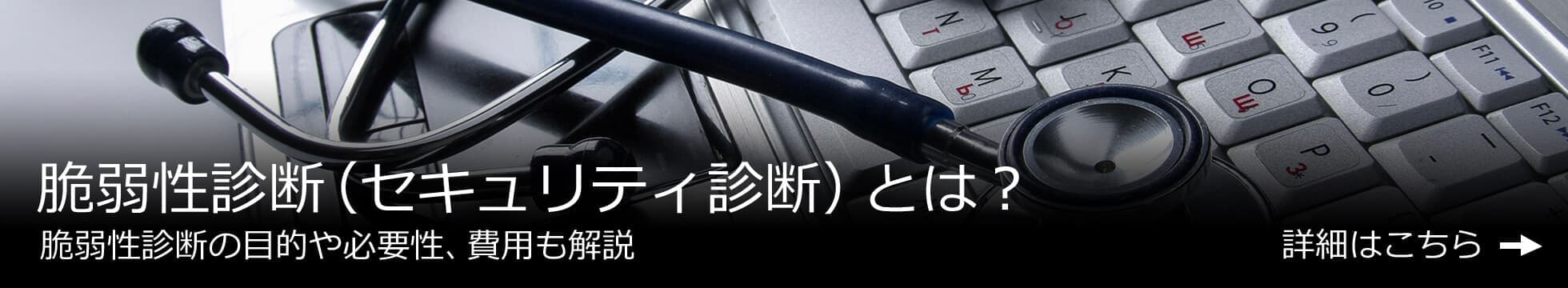 脆弱性診断とは？