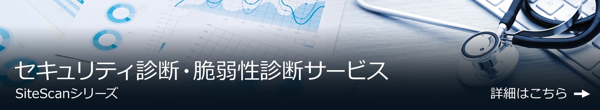 セキュリティ診断・脆弱性診断サービス