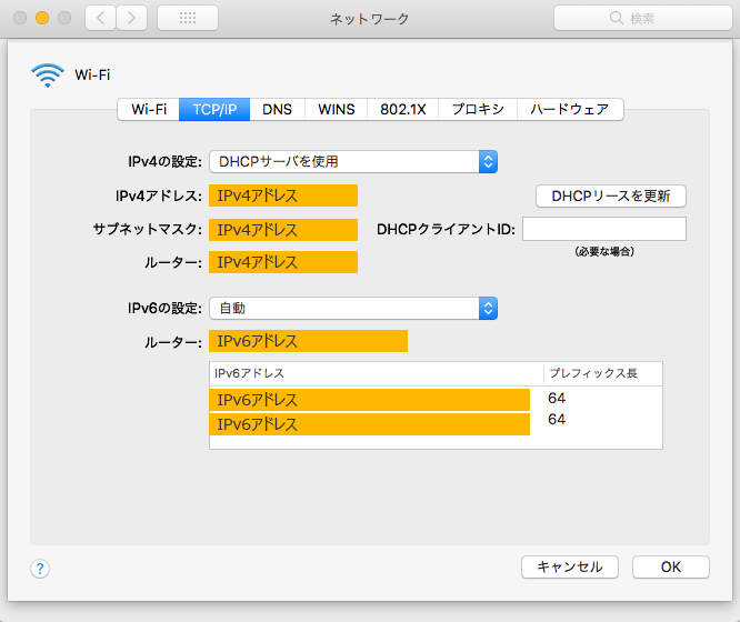 IPアドレス取得